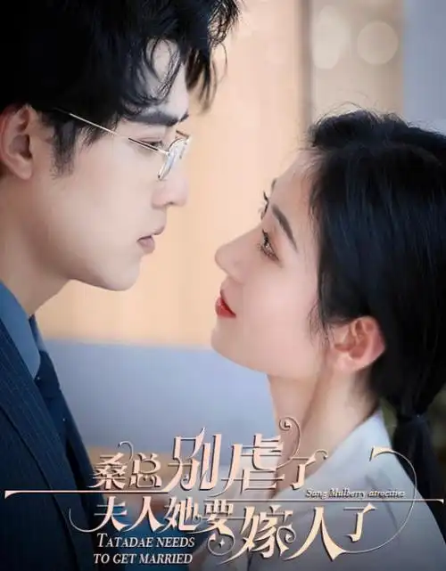 长夜回声 热播电视剧全集在线观看
